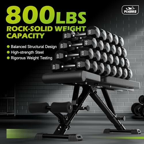 Adjustable weight bench with stacked dumbbells, emphasizing 800 lbs capacity, balanced design, and rigorous testing.